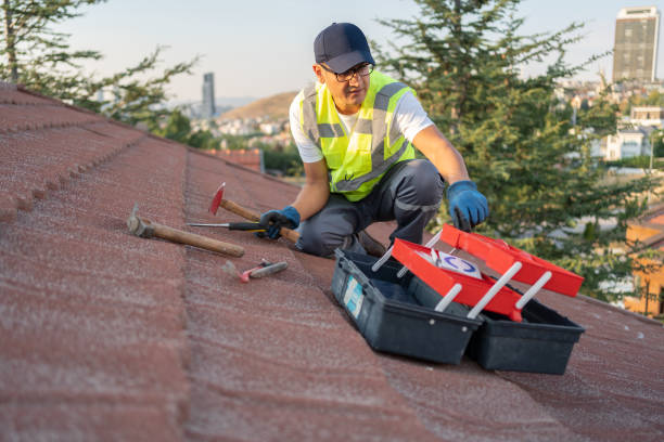 Best Historical Building Siding Restoration  in Warren, IL